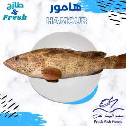 Spotted Grouper Fish Meal